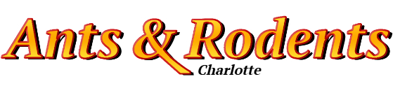 Charlotte Ant Exterminator & Rodent Control Company Logo
